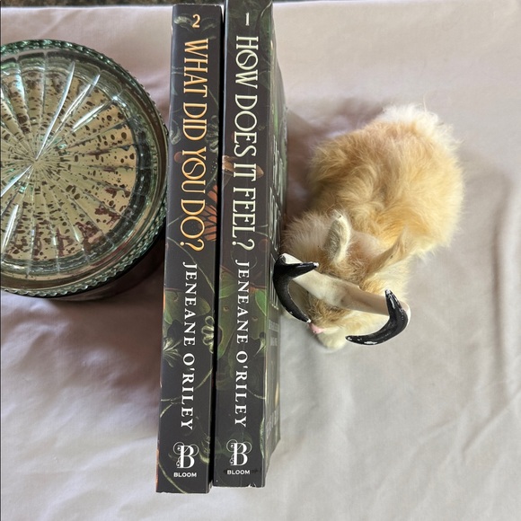 The Infatuated Fae Book Set by Jeneane O'Riley - Picture 4 of 10